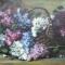 Flori de liliac, pictură veche semnată Stomociescu