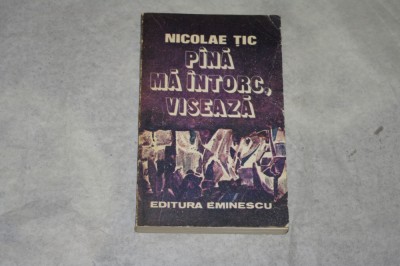 Pana ma intorc, viseaza - Nicolae Tic - 1980 foto