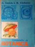 COMPENDIU DE BOTANICA-A. IONICA, I.R. CIOBANU-266181
