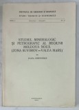 STUDIUL MINERALOGIC SI PETROGRAFIC AL REGIUNII MOLDOVA NOUA - ( ZONA SUVOROV - VALEA MARE ) de IOANA GHEORGHITA , 1975