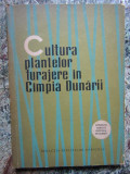 I Moga - Cultura plantelor furajere in campia dunarii