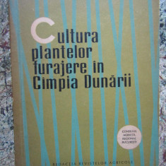 I Moga - Cultura plantelor furajere in campia dunarii