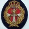 5.509 DANEMARCA ARMATA ECUSON EMBLEMA PATCH Royal Danish Army