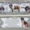 !!! SUA = FANTASY NOTE = SAINT BERNARD - 2016 - UNC / SERIA DOG LOVER