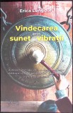 VINDECAREA PRIN SUNET SI VIBRATII-ERICA LONGDON-347967