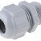 Presetupa poliamida, PG13,5, IP68, HELUTOP HT-PG, HELUKABEL - HT PG13.5 RAL7001