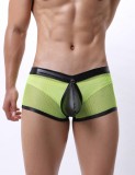 Boxeri Eross Metal Staples S Verde