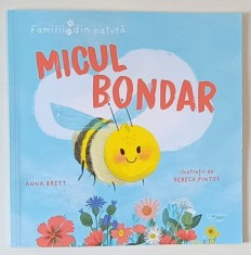 MICUL BONDAR , ilustratii de REBECA PINTOS , text de ANNA BRETT , 2024 foto
