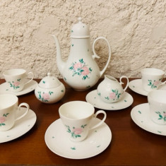 SET DE 14 PIESE PENTRU CAFEA(EXPRESSO)- ROSENTHAL STUDIO LINIE ROMANZE PINK ROSE