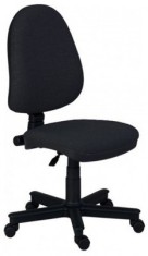 SCAUN DE BIROU ERGONOMIC PANTHER FARA BRATE - Standard