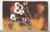 Bnk cld Calendar de buzunar 1982 - OJT Prahova