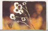 Bnk cld Calendar de buzunar 1982 - OJT Prahova