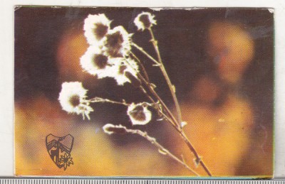 bnk cld Calendar de buzunar 1982 - OJT Prahova foto