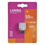 Bec LED cu USB, 1W, Alb Cald, 50 Lumeni, CMCLASS
