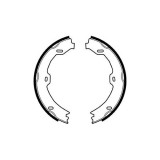 Set saboti frana mana Delphi LS1923, parte montare : Punte Spate