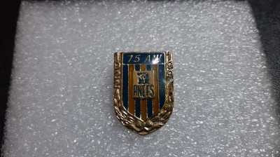 Insigna aniversara ANEFS 75 ani foto