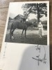 Fotografii Pojorata Suceava