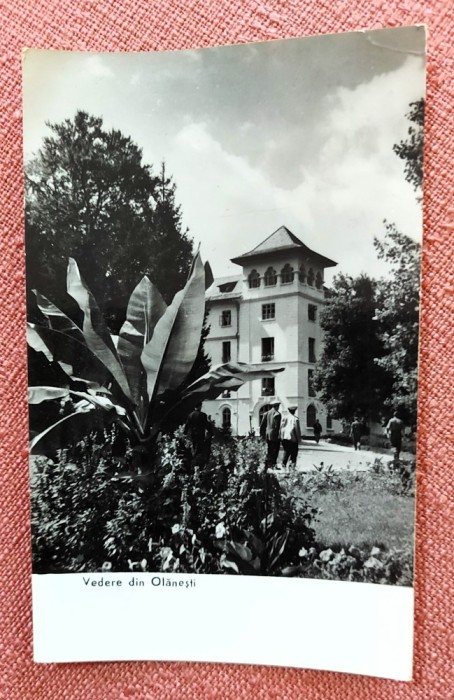 Vedere din Olanesti - Circulata, 1961