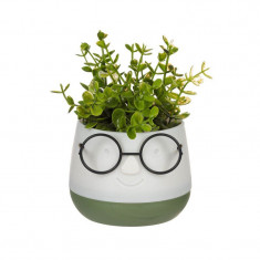 Ghiveci decorativ ochelari cu planta artificiala, verde, 9.5x14 cm, ATU-086334