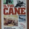Il tuo cane- David Taylor
