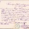 HST A2204 Licență bisericească de căsătorie 1875 Pesac Timiș Banat