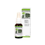 Rodicare Uro, 20 ml, Alfavet