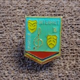 Insigna pionier - PIONIER INTERPRET - CLASA A II-A (LOCUL II)