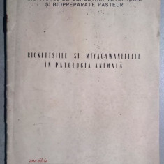 Rickettsiile si miyagawanellele in patologia animala - V. Popovici