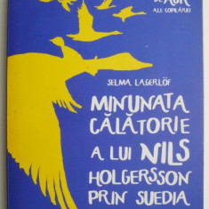 Minunata calatorie a lui Nils Holgersson prin Suedia – Selma Lagerlof (ilustratii de Thomas Docherty)