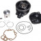 Set motor + Chiulasa scuter Aprilia AM6 80cc