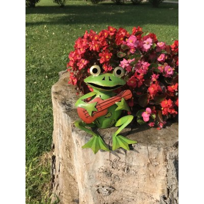 Decoratiune gradina-Broscoi cu chitara foto