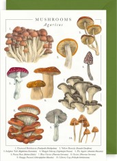 Felicitare Mushrooms | The Art File