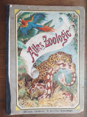 ATLAS ZOOLOGIC, 1916 / 24 PLANSE LITOGRAFIATE foto