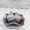 Etrier de fr&acirc;nă dreapta față TOYOTA YARIS _P13_ 2012 OEM: Hatchback | 18301980