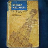 Strada Mezinului - Lev Kassil, Max Poleanovski - Roman