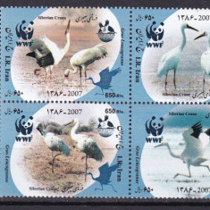 Iran 2007 fauna pasari WWF MI 3067-3070 MNH