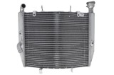 Cumpara ieftin Radiator pentru TRIUMPH DAYTONA 675 2013-2016