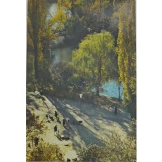 Bucuresti. Gradina Cismigiu. Carte postala circulata