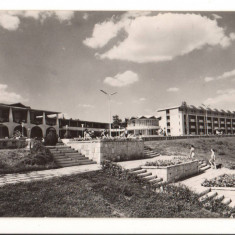 CPIB 16431 CARTE POSTALA - MANGALIA. ASPECT DE PE FALEZA, RPR