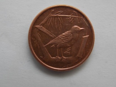1 CENT 2008 CAYMAN foto