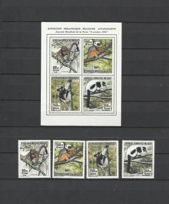 MADAGASCAR 1992 FAUNA LEMURIENI foto