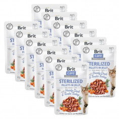 Brit Care Cat Sterilized Fillets in Jelly with Hearty Duck &amp; Tender Turkey 12 x 85 g