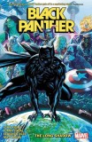 Black Panther Vol. 1
