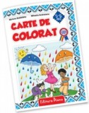 Carte de colorat | Mariana Andreianu, Mihaela Andreianu