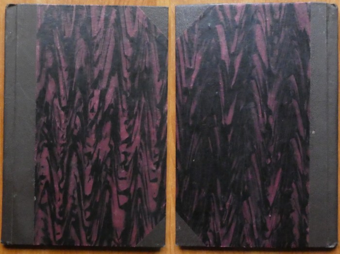 General Cantacuzino Granicerul, Un caz de arivism feroce, 1924, editia 1