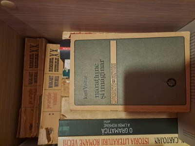 &amp;quot;Narațiune și imaginar. Preliminarii la o teorie a fantasticului&amp;quot; - Ioan Vultur foto