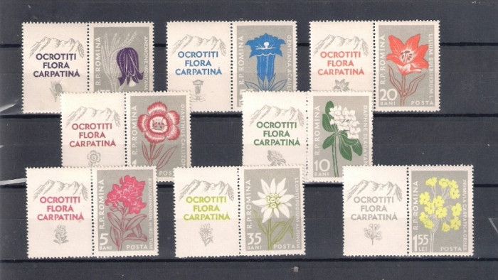 ROMANIA 1957 - FLORA CARPATINA, VINIETA, MNH - LP 432a