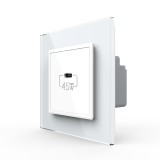 Priza USB Tip C Livolo cu Rama din Sticla SmartElectro IntelligentHouse
