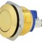 Comutator Anti-Vandalism 2A 36VDC IP65 &Oslash;16mm