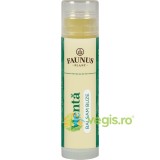 Balsam de Buze Menta 5ml